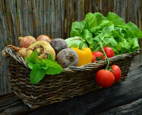 bio Gemüse und Obst