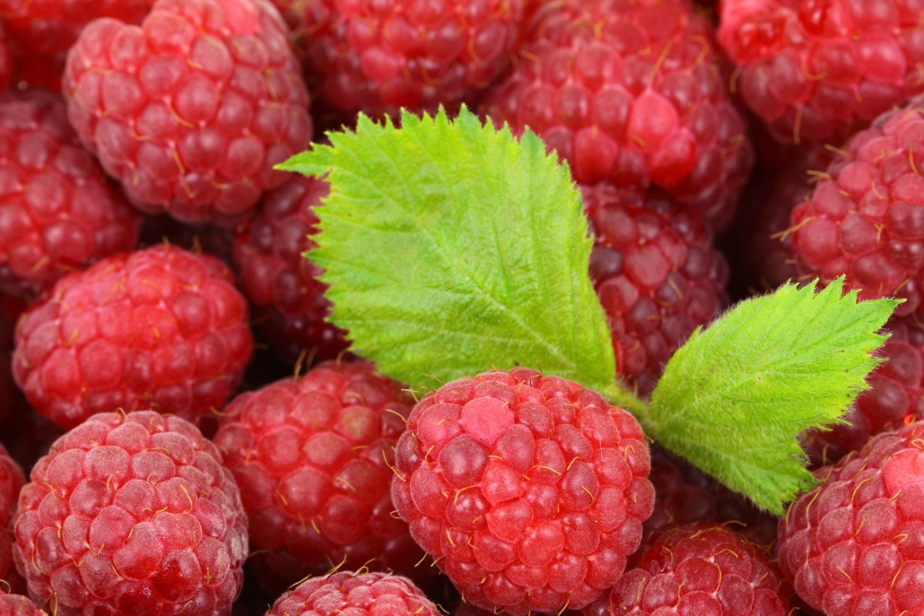 Obst ??? 10 Obstsorten, die Deutschland liebt - du auch?