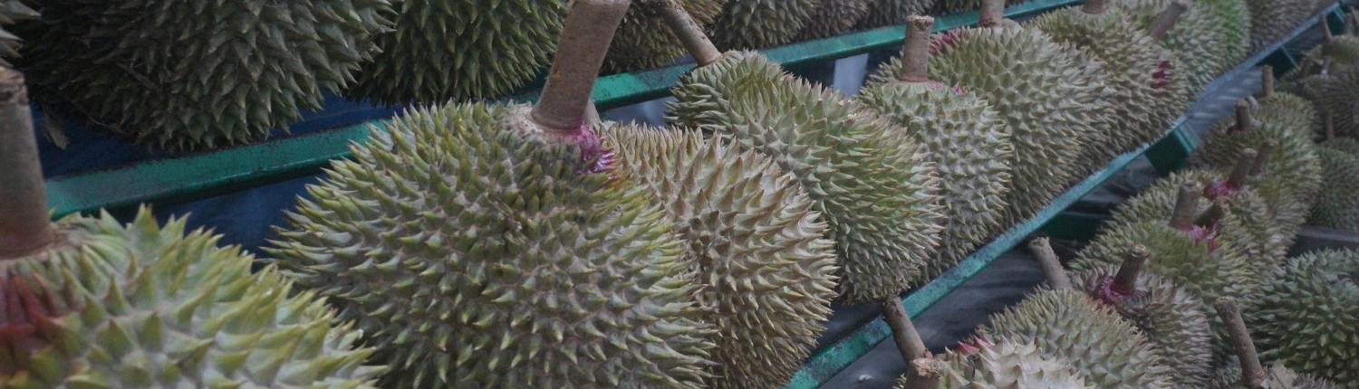 Durian