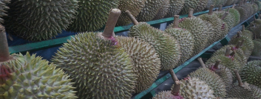 Durian