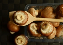 Steinchampignon