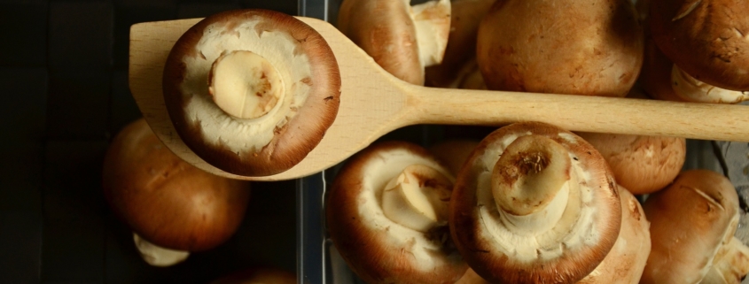 Steinchampignon