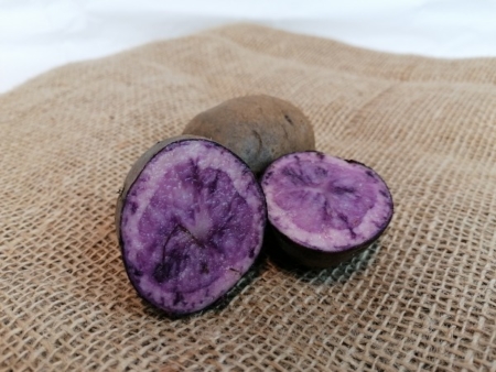 Bio Kartoffeln Blauer Schwede