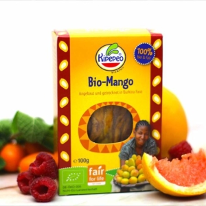 Bio Mango getrocknet